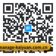 系统版 iOS 二维码